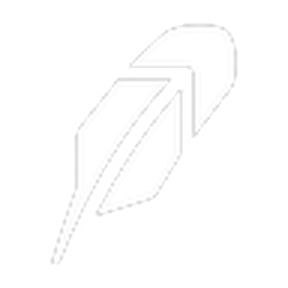 Robinhood Chain